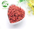 Hochwertige Produkte China Bio Goji Beere